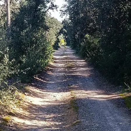 Finca Rustica Biniatzau Alaior