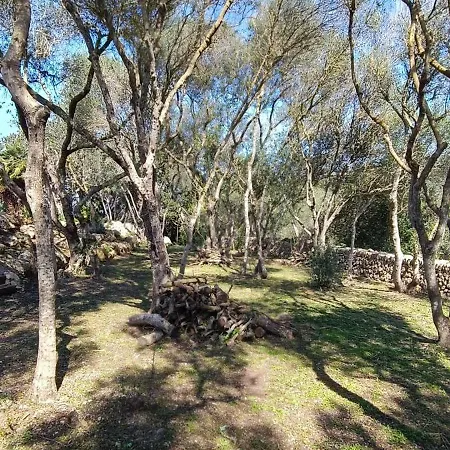 Finca Rustica Biniatzau